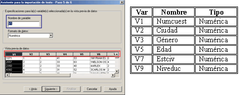 Paso 5: Definir el nombre y el formato de cada variable - Importar datos de archivos de texto de Ancho fijo en SPSS en Español