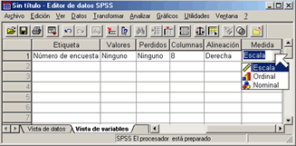 Definir la propiedad Medida en los archivos de Datos de SPSS en Español