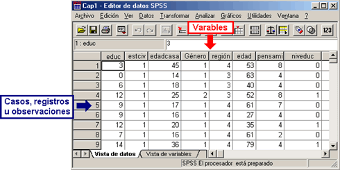 Vista de datos de SPSS