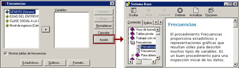 Boton Ayuda del procedimiento frecuencias de SPSS en Español