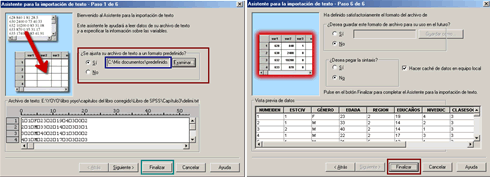 Aplicar una plantilla para la importacion de datos de archivos planos delimitados - Importar Datos de Texto a SPSS