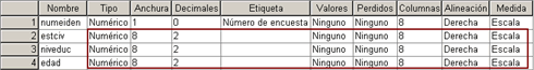 Propiedades de las Variables Definidas - Ejemplo de SPSS