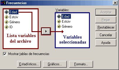 Procedimiento Frecuencias de SPSS en Español - Depurando Información en SPSS