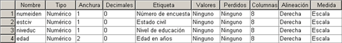 Etiquetas de las variables del Ejemplo - Definir propiedades de las variables en SPSS