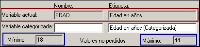 Opciones de variables: El categorizador visual nos permite definir el nombre y etiqueta de la nueva variable categorizada (Intervalos, Clases, nieveles, etc)