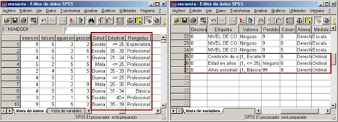 Resultados del Categorizador Visual de SPSS: Vista de Datos y Vista de Variables