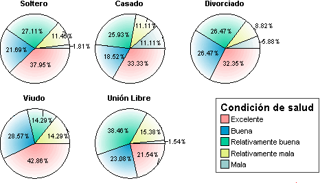 Grafico de Sectores Simple para multiples variables - Grafico de Sectores con Variable de Panel en SPSS