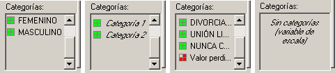 Seccion Categorias del procedimiento Tablas personalizadas de SPSS - Estados de las diferentes definiciones de las variables