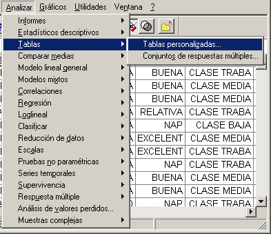 Ubicacion del procedimiento Tablas Personalizadas de SPSS - Abrir nuevo Modulo de Tablas de SPSS