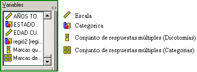 Lista de Variables - Seccion de las Tablas personalizadas de SPSS